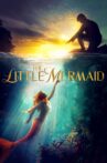 The Little Mermaid Movie Streaming Online Watch on Netflix