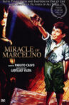 The Miracle of Marcelino Movie Streaming Online Watch on Tubi