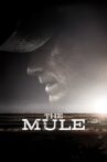 The Mule Movie Streaming Online Watch on Google Play, Hungama, Netflix , Youtube, iTunes