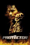 The Protector Movie Streaming Online Watch on Google Play, Youtube