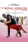 The Royal Hibiscus Hotel Movie Streaming Online Watch on Netflix