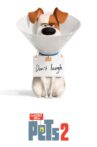 The Secret Life of Pets 2 Movie Streaming Online Watch on Google Play, Youtube, iTunes