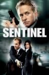 The Sentinel Movie Streaming Online Watch on Amazon