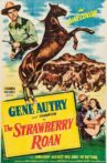 The Strawberry Roan Movie Streaming Online Watch on Tubi