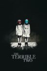 The Terrible Two Movie Streaming Online Watch on Tubi