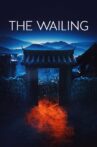 The Wailing Movie Streaming Online Watch on Amazon, Tubi