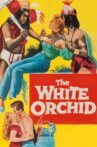 The White Orchid Movie Streaming Online Watch on MX Player