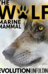 The Wolf: Marine Mammal Movie Streaming Online Watch on Amazon