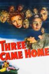 Three Came Home Movie Streaming Online Watch on Tubi