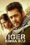 Tiger Zinda Hai Movie Streaming Online Watch on Amazon, Google Play, Youtube, iTunes