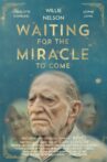 Waiting for the Miracle to Come Movie Streaming Online Watch on Tubi