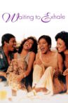 Waiting to Exhale Movie Streaming Online Watch on Google Play, Youtube, iTunes