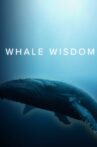 Whale Wisdom Movie Streaming Online Watch on Curiosity Stream