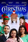 What She Wants for Christmas Movie Streaming Online Watch on Tubi