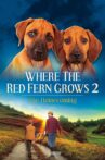 Where The Red Fern Grows Part 2 Movie Streaming Online Watch on Amazon, Tubi