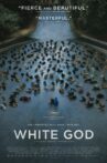 White God Movie Streaming Online Watch on Tubi