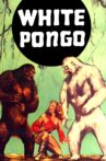 White Pongo Movie Streaming Online Watch on MX Player
