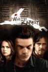 White Rabbit Movie Streaming Online Watch on Tubi
