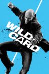 Wild Card Movie Streaming Online Watch on Google Play, Netflix , Youtube, iTunes