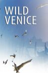 Wild Venice Movie Streaming Online Watch on Curiosity Stream