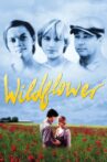 Wildflower Movie Streaming Online Watch on Tubi