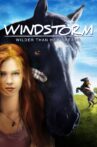 Windstorm Movie Streaming Online Watch on Tubi