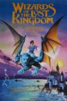 Wizards of the Lost Kingdom Movie Streaming Online Watch on Tubi