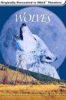Wolves Movie Streaming Online Watch on MX Player