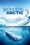 Wonders of the Arctic Movie Streaming Online Watch on Tubi