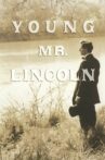 Young Mr. Lincoln Movie Streaming Online Watch on Tubi