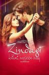 Zindagi Kitni Haseen Hay Movie Streaming Online Watch on Netflix