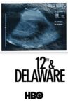 12th & Delaware Movie Streaming Online