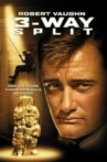 3-Way Split Movie Streaming Online