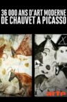 36 000 Ans D'art Moderne, De Chauvet à Picasso Movie Streaming Online