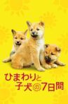 7 Days of Himawari & Her Puppies Movie Streaming Online