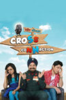 Cross-Connection-Punjabi-Fi