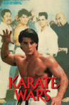 Karate Wars