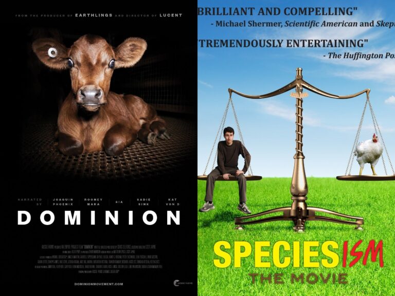 Tackling Controversial Subject Matters In Films: Speciesism