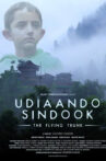 Udiaando Sindook
