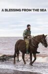 A Blessing from the Sea Movie Streaming Online