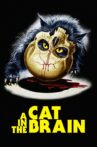 A Cat in the Brain Movie Streaming Online