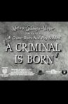 A Criminal Is Born Movie Streaming Online