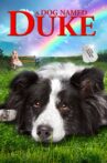 A Dog Named Duke Movie Streaming Online