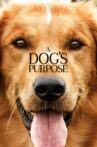 A Dog's Purpose Movie Streaming Online