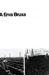 A Erva Bruxa Movie Streaming Online