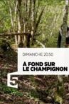 A fond sur le champignon Movie Streaming Online