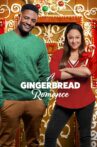 A Gingerbread Romance Movie Streaming Online
