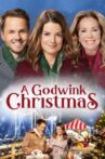 A Godwink Christmas Movie Streaming Online