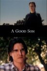 A Good Son Movie Streaming Online
