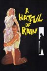 A Hatful of Rain Movie Streaming Online